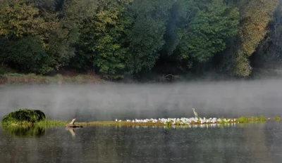 La-Loire-le-fleuve-de-Gien-8211-Gien_2365572