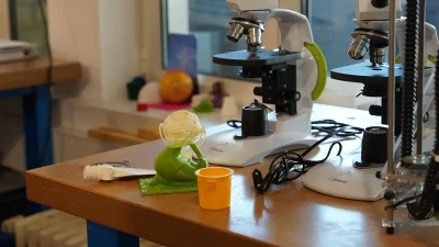 La-Maison-des-Activites-Scientifiques-Technologiques-et-Environnementales-8211-Nogent-sur-Oise_2512682