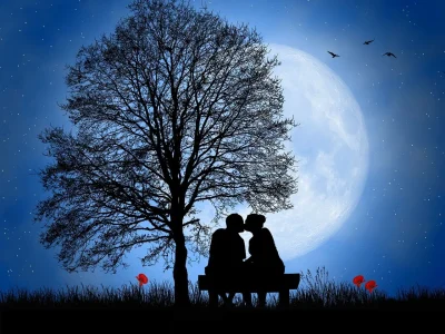 La-Nuit-romantique-8211-21-06-2025-8211-Saint-Benoit-du-Sault_2191426