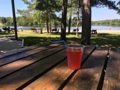 La-Paillote-du-Grand-Etang-8211-Saint-Estephe_3508649
