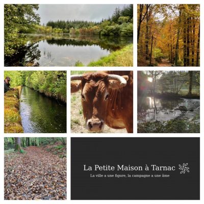La-Petite-Maison_105229