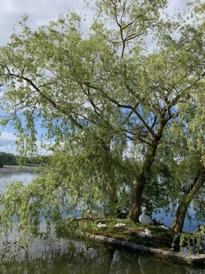 La-Porte-du-Saulnois-depuis-les-etangs-de-la-Tensch-8211-Grostenquin_3720020