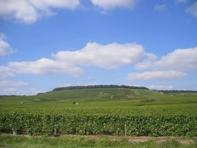 La-Reserve-Naturelle-des-Patis-d039Oger-et-du-Mesnil-sur-Oger_600719