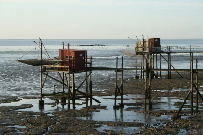 La-Reserve-naturelle-nationale-de-la-Baie-de-l039Aiguillon-8211-Sainte-Radegonde-des-Noyers_2185201