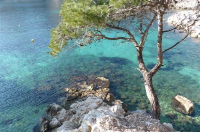La-Ribartille_170569