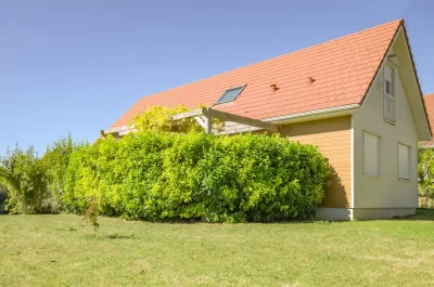 La-Rose-des-Champs_843431