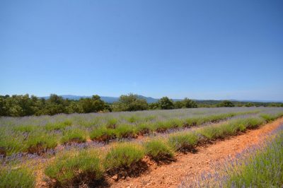 La-Sainte-Victoire_171137