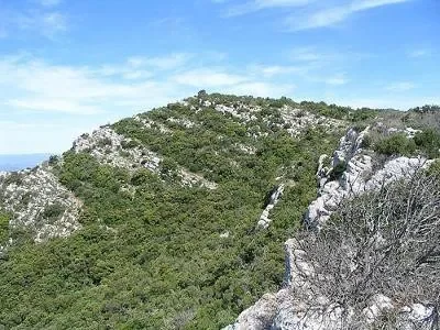 La-Sinne-Puits-d039Auzon-8211-circuit-VTT-2-8211-Vauvenargues_3666375