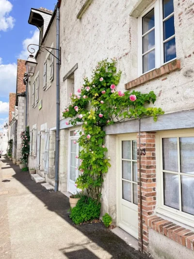 La-Toue-de-Loire-8211-Chaumont-sur-Loire_2736359