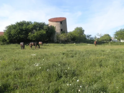 La-Tour-8211-Tercillat_2913677