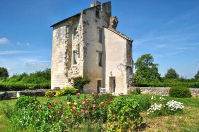 La-Tour-du-Chateau-des-Etangs_86039