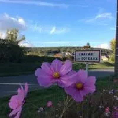La-Vallee-de-la-Vienne-8211-Alternative-n°1-8211-Cravant-les-Coteaux_3684896