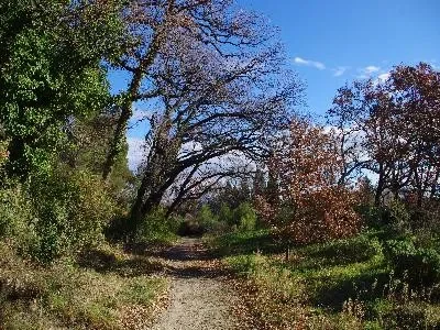La-Via-Domitia-a-St-Remy-de-Provence-8211-Saint-Remy-de-Provence_2701990
