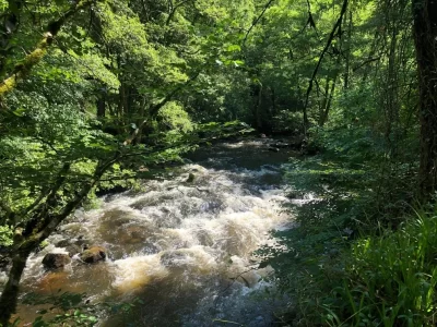 La-Vienne-et-les-Gorges-de-la-Vienne_600367