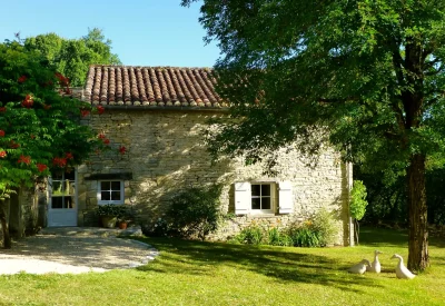 La-Vigne-Vierge-Gite-de-Charme-8211-Montgesty_2444114
