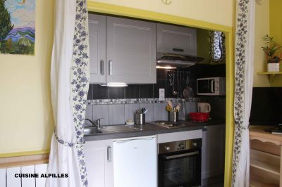 La-Vigueirado-8211-Gite-Alpilles_172177
