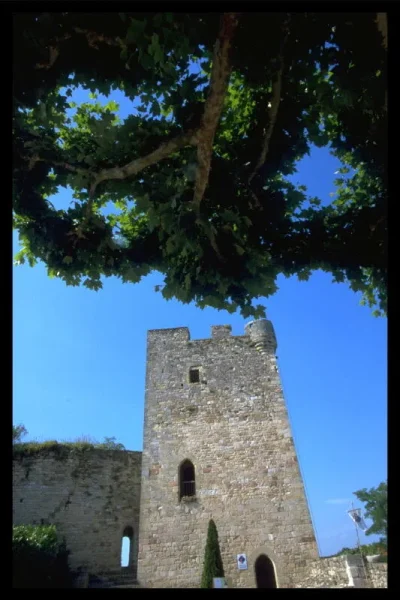 La-boutique-ephemere-de-la-Tour-a-Capdenac-Le-Haut-8211-29-07-2025-8211-Capdenac_2267877