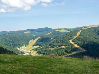La-chaume-des-champis-8211-La-Bresse_2596329