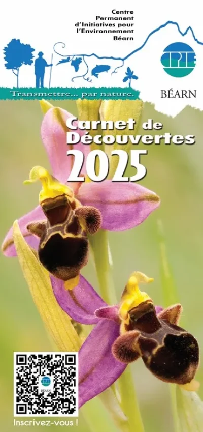 La-chouette-qui-aime-la-foret-8211-Sortie-CPIE-8211-07-09-2025-8211-Arette_2654762