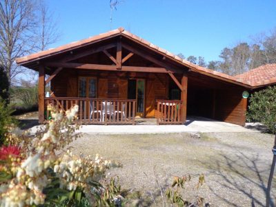 La-cigale-verte_96512