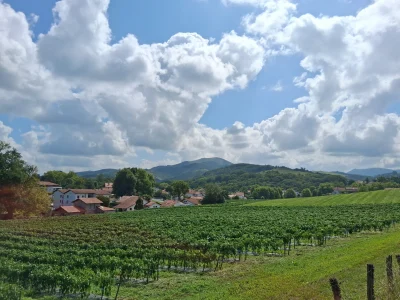 La-colline-de-la-Bergerie-8211-Cambo-les-Bains_3888902-1