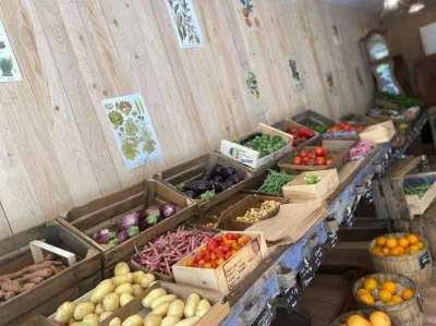 La-cuisine-de-Noella-et-le-Potager-de-Charlie-8211-Molleges_3082360