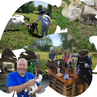 La-ferme-du-Levezou-8211-Franck-Josceran-8211-Vezins-de-Levezou_2243747