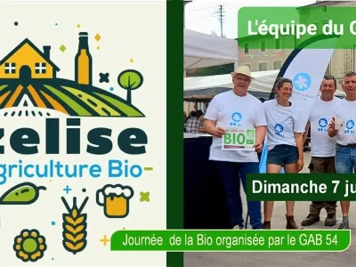 La-fete-de-l039agriculture-bio-8211-07-06-2026-8211-Vezelise_3619924