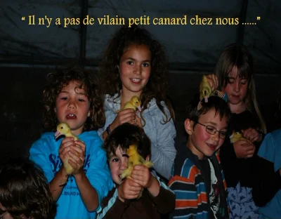La-fete-des-cazelles-a-la-Ferme-Des-Cazalous-a-Puyjourdes-8211-12-09-2025-8211-Puyjourdes_2823785