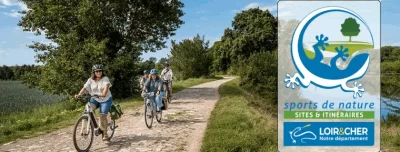La-foret-de-Montrichard8230-a-VTT-8211-Montrichard-Val-de-Cher_912004-2