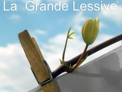 La-grande-lessive-a-la-mediatheque-8211-04-03-2026-8211-Monflanquin_3477086