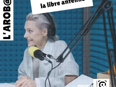 La-libre-antenne-8211-Metz_3502125