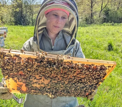 La-melodie-des-abeilles-8211-Saint-Sylvestre_3562821-1