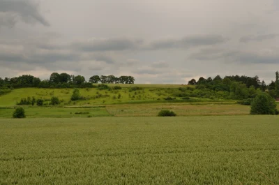 La-pelouse-de-Bonville-8211-Auneau-Bleury-Saint-Symphorien_2368464