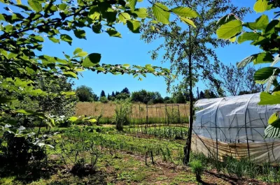 La-petite-ferme-des-Marmiers-8211-La-Jonchere-Saint-Maurice_3095271
