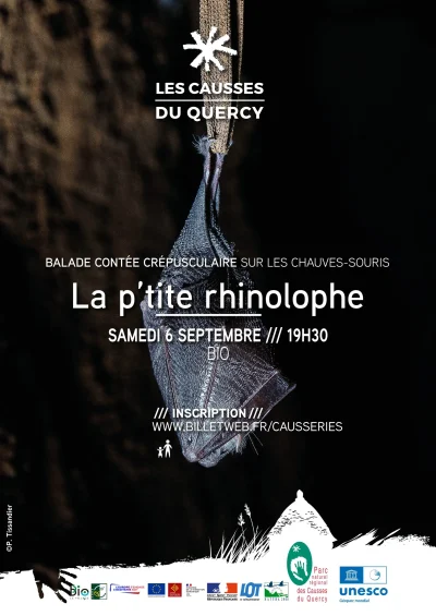 La-ptite-rhinolophe-Balade-contee-crepusculaire-sur-les-chauves-souris-8211-06-09-2025-8211-Bio_2905494