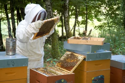 La-ruche-les-abeilles-et-l039apiculture-8211-Chateau-en-fete-8211-22-04-2026-8211-Jumilhac-le-Grand_3481579