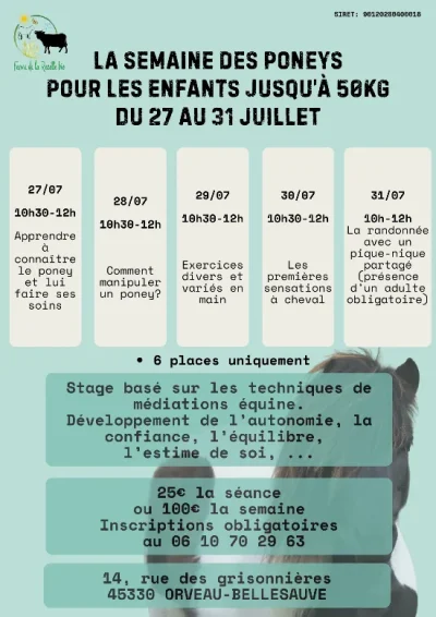 La-semaine-des-poneys-8211-Le-Malesherbois_3757529
