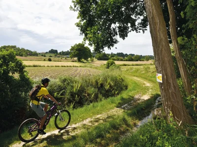 La-vallee-de-l039Ousse-a-VTT-8211-Soumoulou_3722721