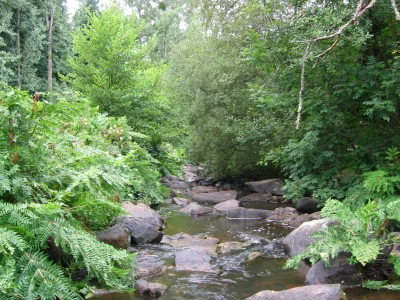 La-vallee-du-Bandiat-richesse-ecologique-8211-06-07-2025-8211-Abjat-sur-Bandiat_2268136