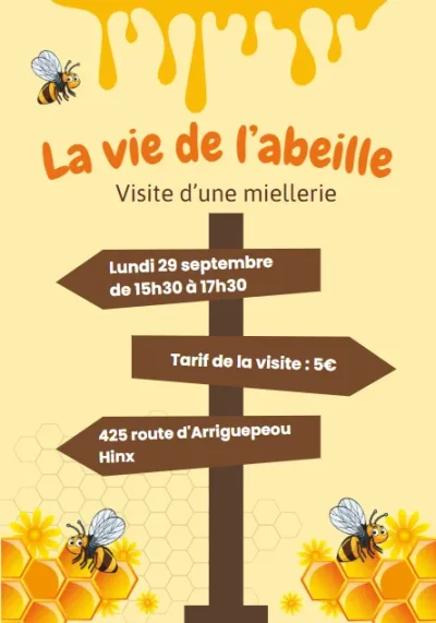 La-vie-de-l039abeille-8211-visite-d039une-miellerie-8211-29-09-2025-8211-Hinx_2972900