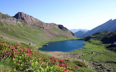 Lac-d039Anglas_517028