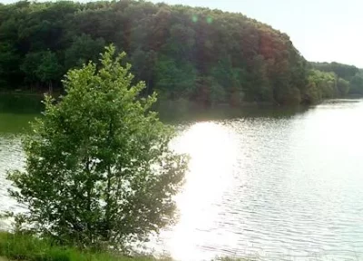 Lac-de-Pradignas_1136358