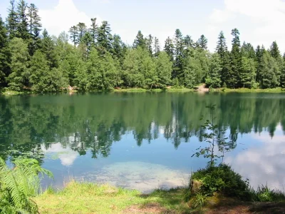 Lac-de-la-maix-8211-Vexaincourt_2595825