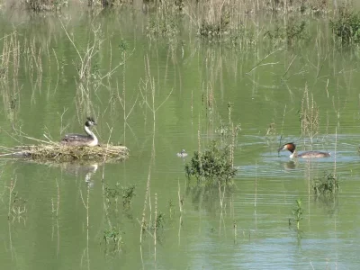 Lac-du-Brayssou-8211-Peche-et-randonnee-pedestre_507334