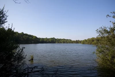 Lagune-de-Contaut_600399