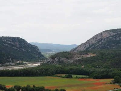 Lavande-8211-Jouques_2523524