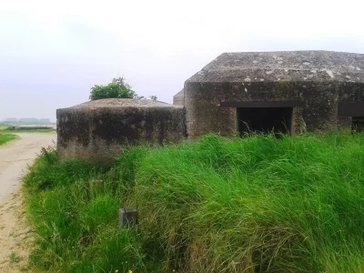 Le-Bunker-WN-89-de-Gefosse_556851