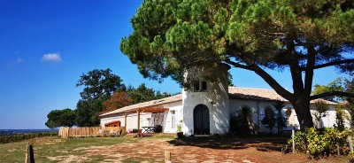 Le-Castel-de-Lamothe-8211-Sauternes_3424391