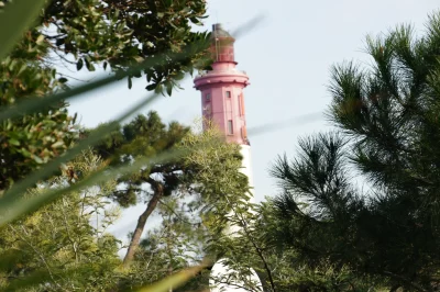 Le-Chant-des-Pins-8211-Lege-Cap-Ferret_3218168